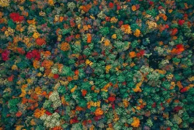 Los colores del otoño jigsaw puzzle