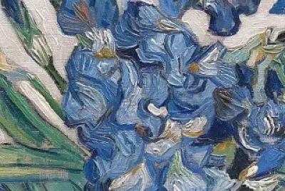 Vincent jigsaw puzzle