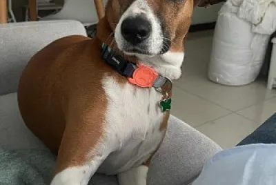 Vicenta