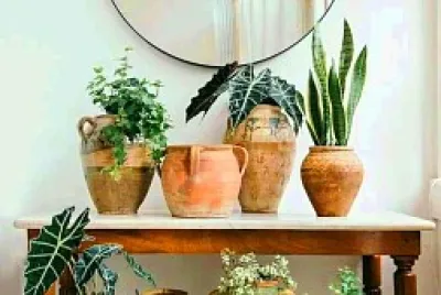jardïn