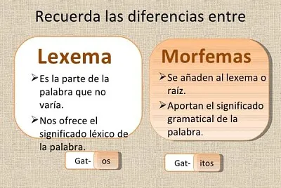 Morfemas y Lexemas
