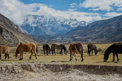 Distrito de gasa Butan jigsaw puzzle