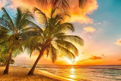 Coucher de soleil jigsaw puzzle