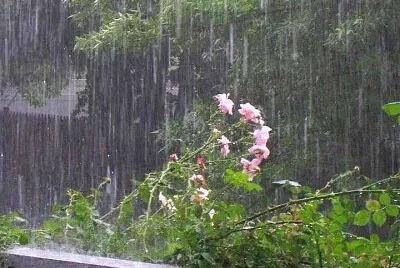lluvia