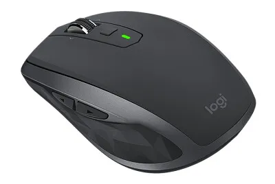 Mouse