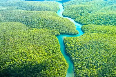 Quebra-cabeça Amazônia jigsaw puzzle