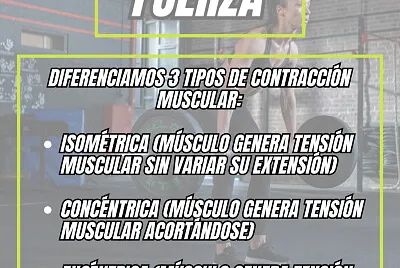 TIPOS DE CONTRACCIÓN