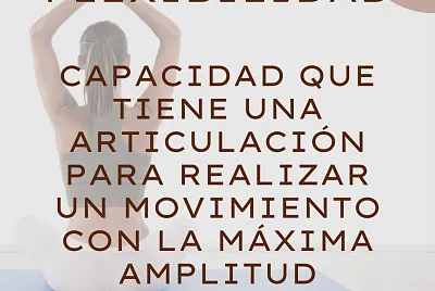 DEFINICIÓN FLEXIBILIDAD