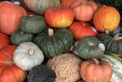 Autumn pumpkins piled high