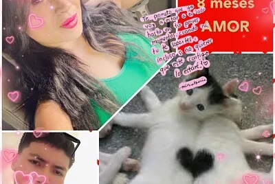 AmorcitoWalker