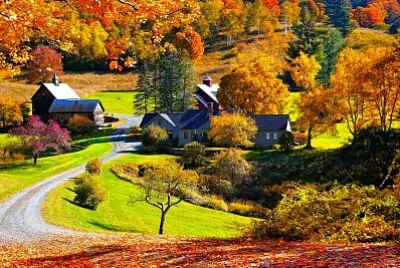 autumn #291 jigsaw puzzle