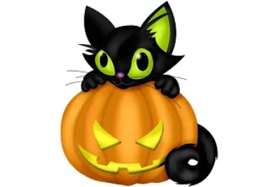Gato 1