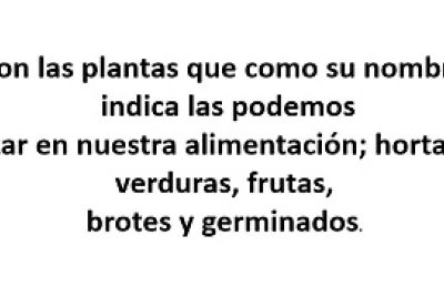 huerto