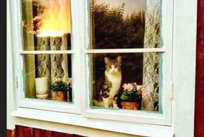 ventana
