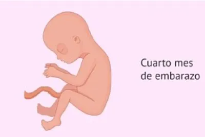 bb