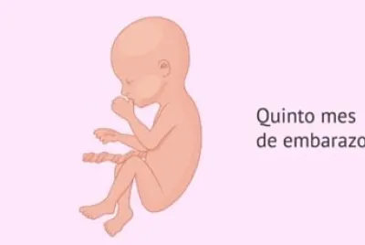 bbb