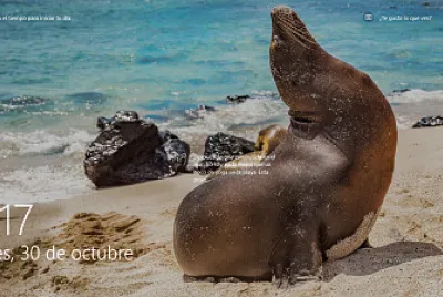 isla de galapago, Ecuador jigsaw puzzle