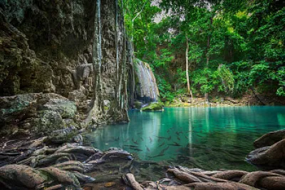 NATURALEZA