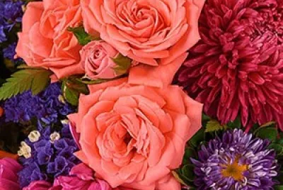 Flores