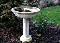 Birdbath
