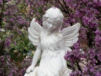 A Statue of an Angel