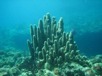 Underwater
