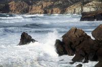 Waves