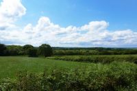 Scenery, Devon, England