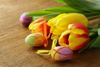 Flowers Tulips and Decorated Eggs