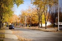 Town at Fall