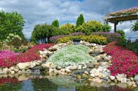 Rock Garden with Waterfalls