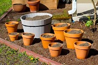 Herb Garden