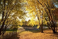 Fall in Ontario, Canada