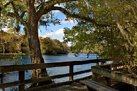 Suwannee River Boardwalk, Georgia, USA