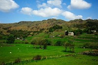 Isolated Farm