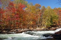Waterfall in Autumn