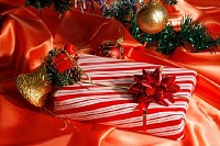 Under the Christmas Tree