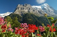 Eiger Grindelwald, Bern, Switzerland