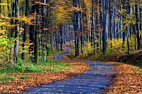 Autumn Landscape