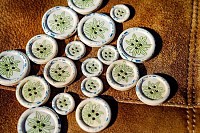 Four Holes Buttons
