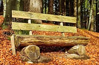 Wooden Bench
