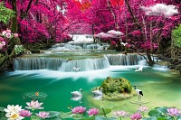 3D beautiful backgrounds sea and waterfall ,bird..