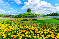 Marigolds (Tagetes erecta) and other flowers in pu