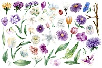 Vintage Watercolor Floral Ornaments