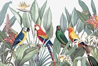 Colorful macaws on a tropical background