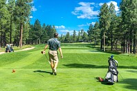 Playing Golf