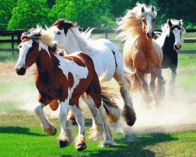 CABALLOS jigsaw puzzle