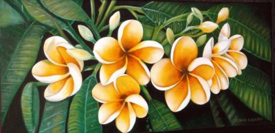 Yellow plumeralias jigsaw puzzle