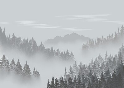 NEBBIA jigsaw puzzle