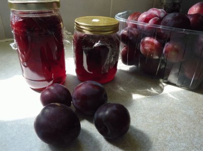 Canning Plums to Jam jigsaw puzzle